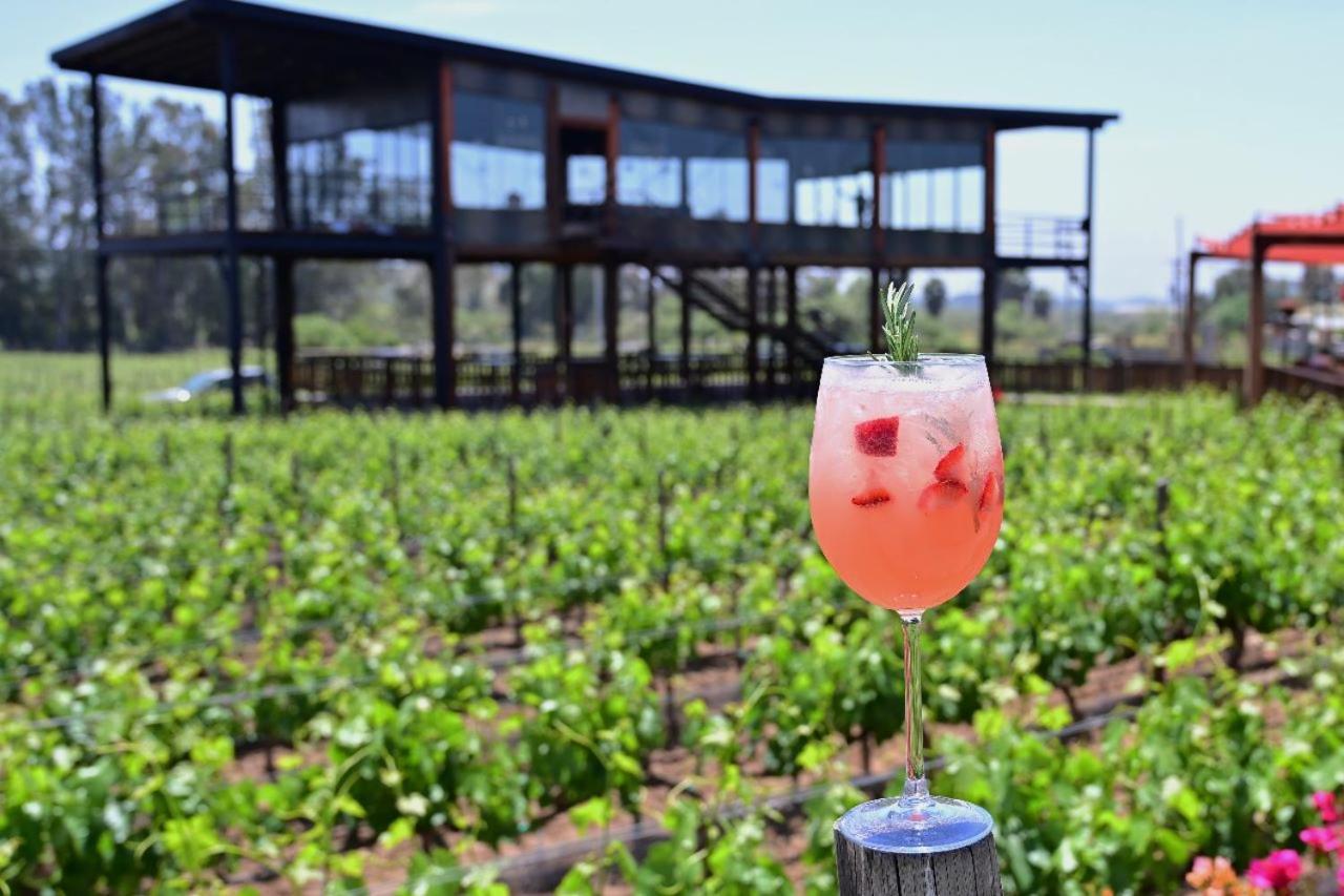 Don Tomas Vinedo Cabanas Valle de Guadalupe Buitenkant foto