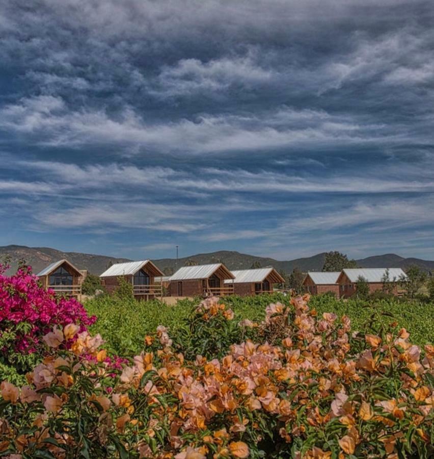 Don Tomas Vinedo Cabanas Valle de Guadalupe Buitenkant foto